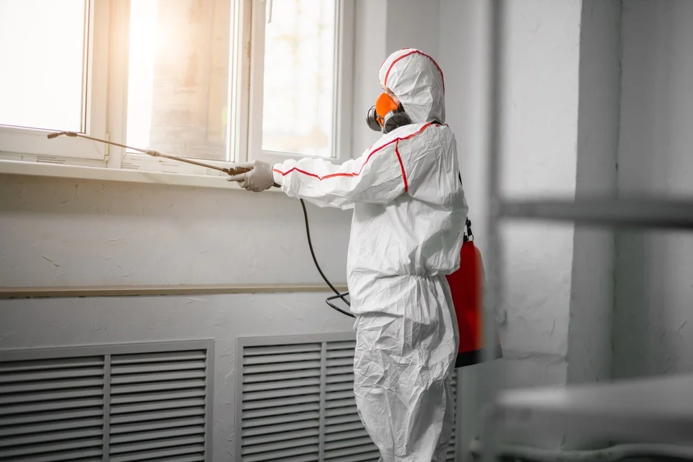 Professional mold remediation services in Moab, UT